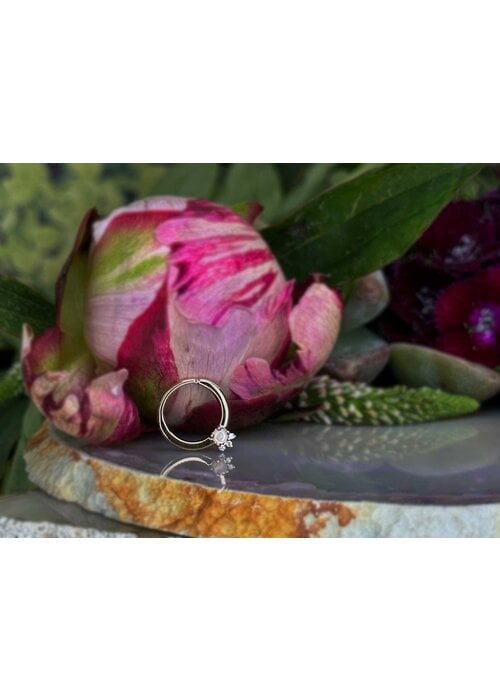 Modern Mood Modern Mood Leia 14k White Gold Opal with White Diamonds 18g 5/16" Clicker