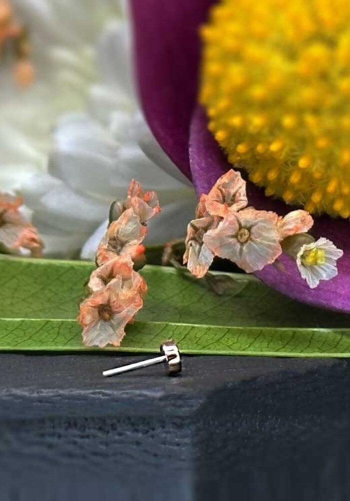 Rose Gold Disk 2.5mm Threadless