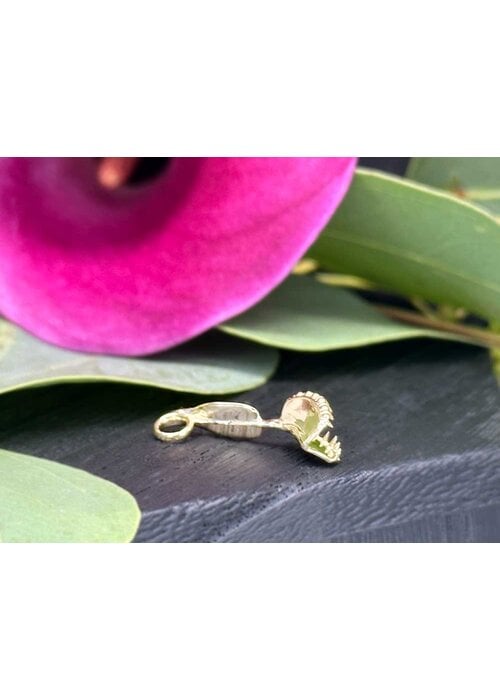 Regalia Regalia Venus Goldtrap Yellow Gold Charm