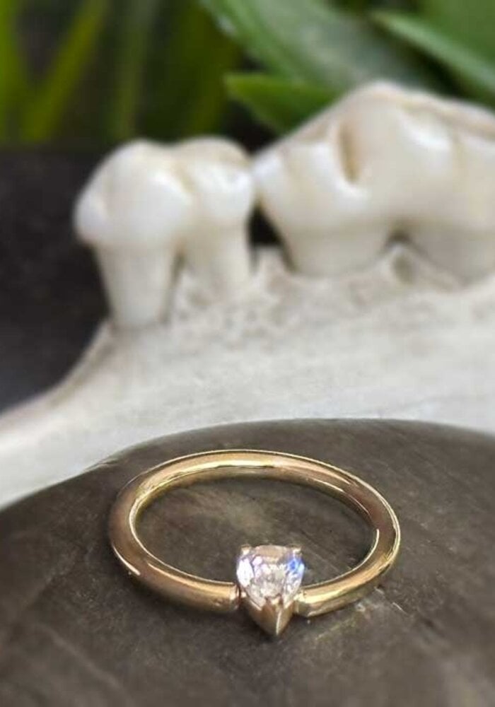 BVLA Pear V Prong Yellow Gold White CZ 16g 3/8"  Fixed Ring