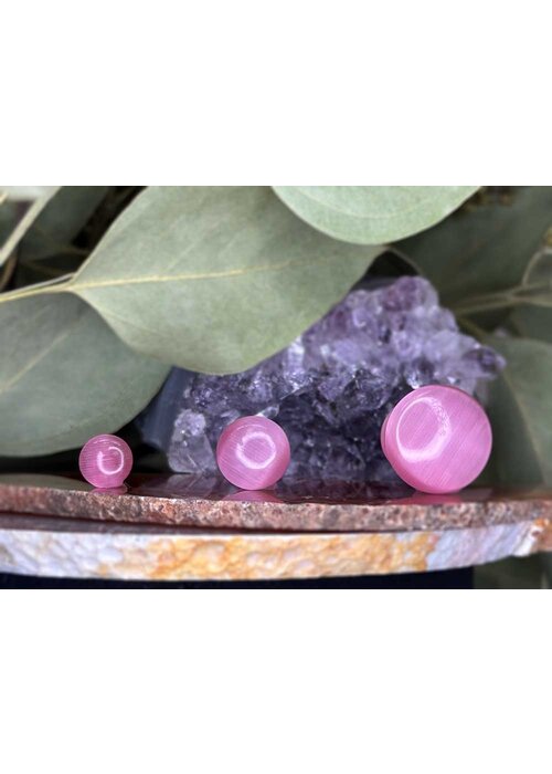 Oracle Body Jewelry Oracle Pink Cats Eye Single Flare Plug