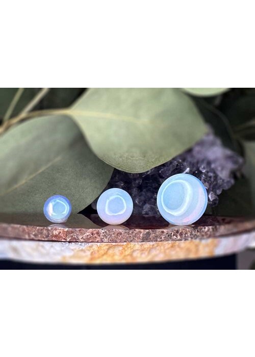 Oracle Body Jewelry Oracle Opalite Single Flare Plug