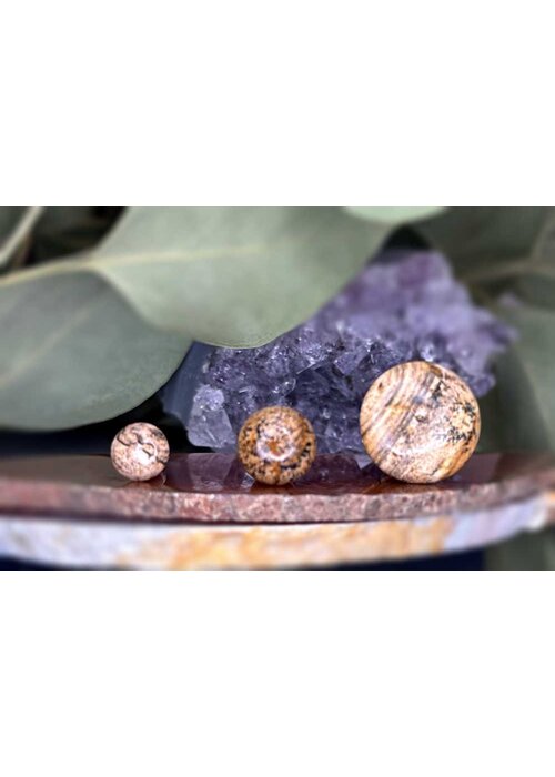 Oracle Body Jewelry Oracle Picasso Jasper Single Flare Plug